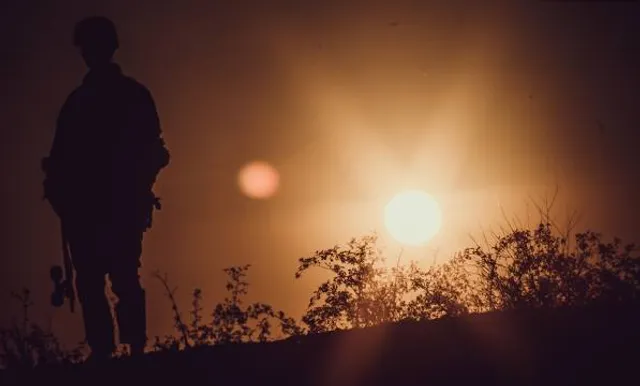 Springfield Bog Metro Park