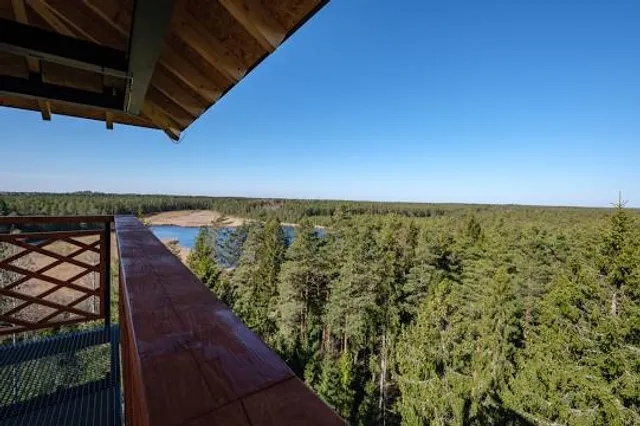 Kangaru skatu tornis