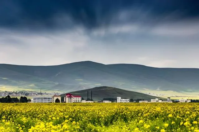 Humedal "El Culebron"