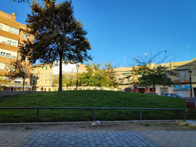 Plaça del botànic Félix Robillard