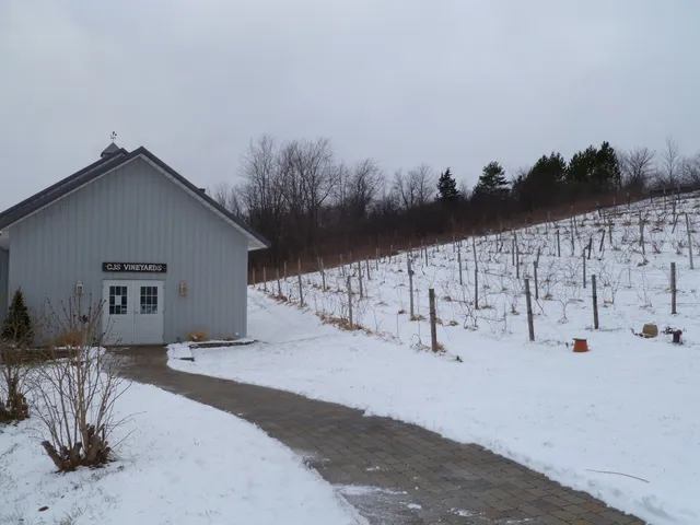 CJS Vineyards