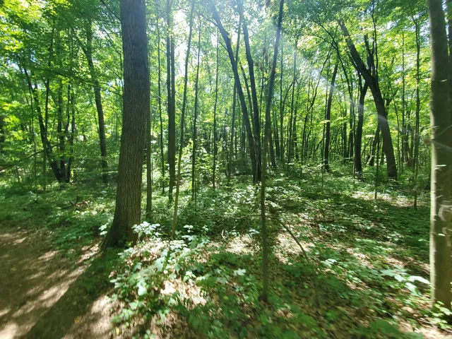 Brighton Recreation Area