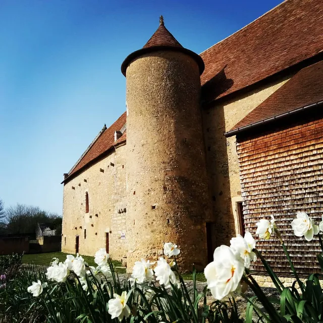 Le Manoir de la Cour d'Asnières-sur-Vègre (72)
