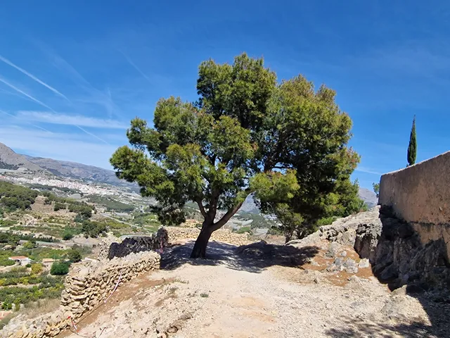 Cementerio Literario