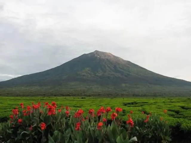 Kerinci Seblat National Park