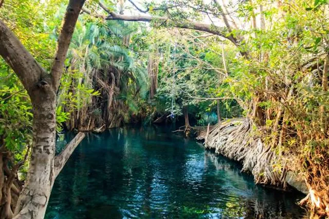 Kikuletwa (Chemka) Hot Springs (Maji Moto)