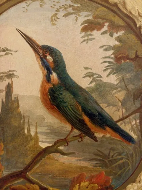 Oasi Lipu Bosco del Vignolo