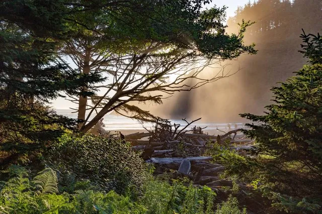 Indian Beach Trailhead