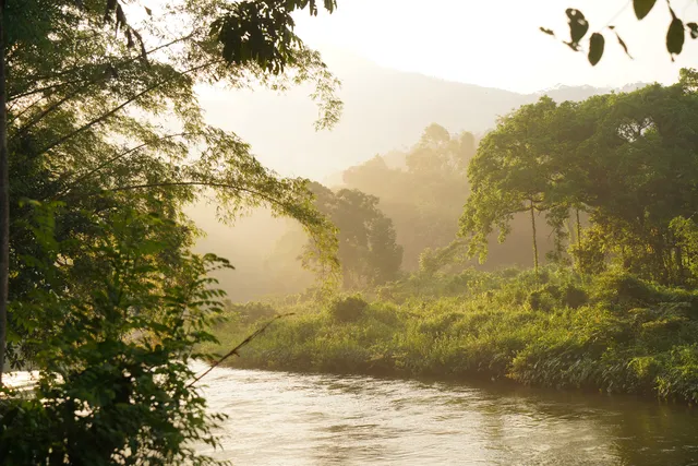 Borderlands Kitulgala