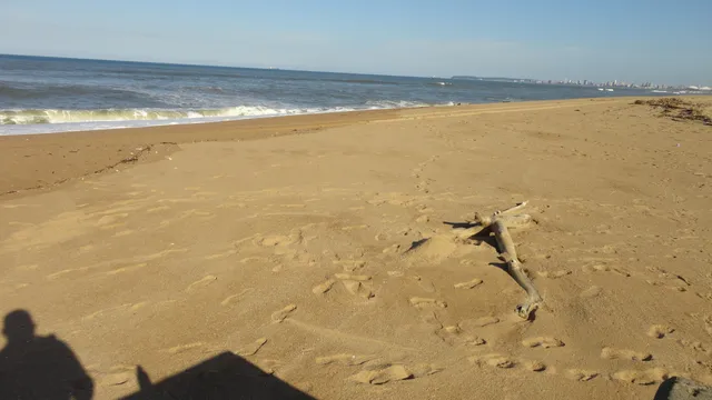 photo-2