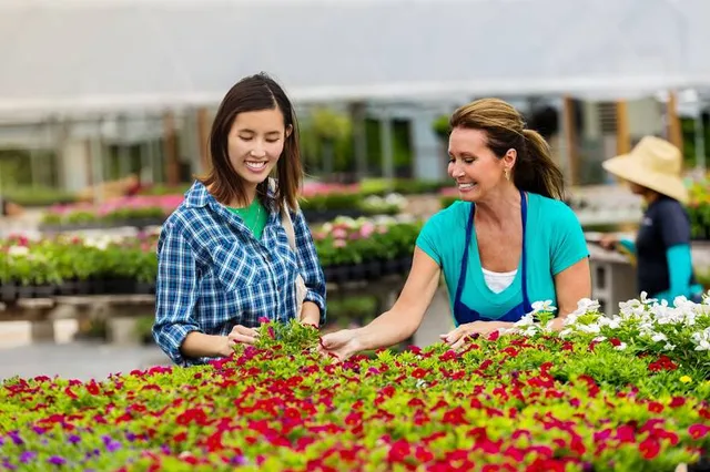 Bang Thao Night Market