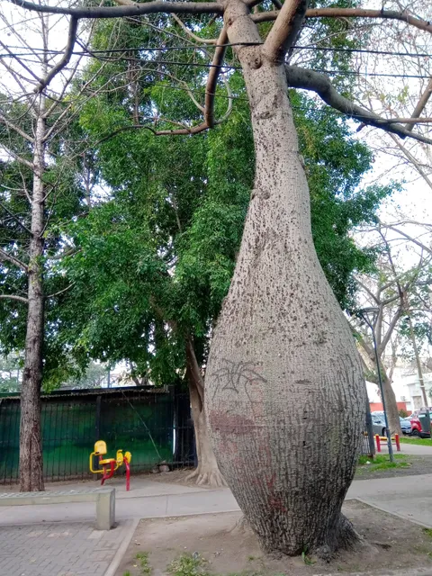 Plaza Éxodo Jujeño
