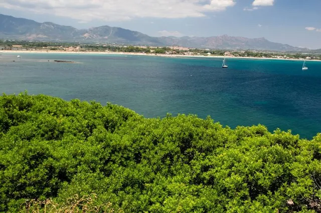 Foresta di Is Cannoneris