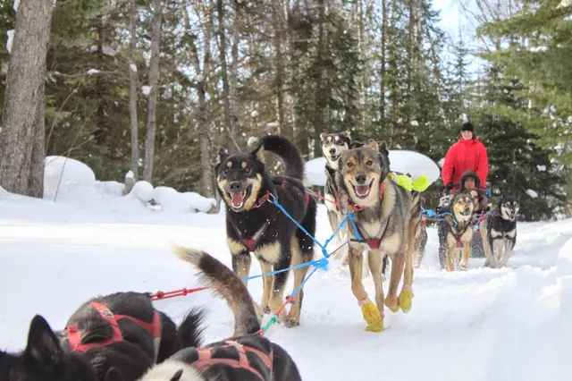 Nature's Kennel Sled Dog Racing and Adventures