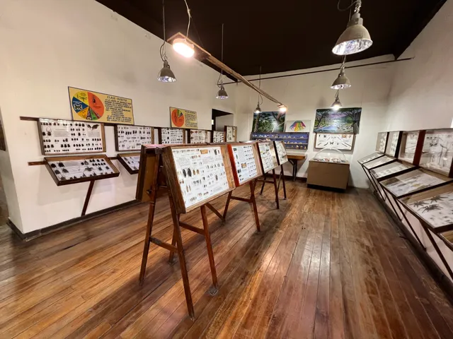 Museo Entomologico de Vicuña