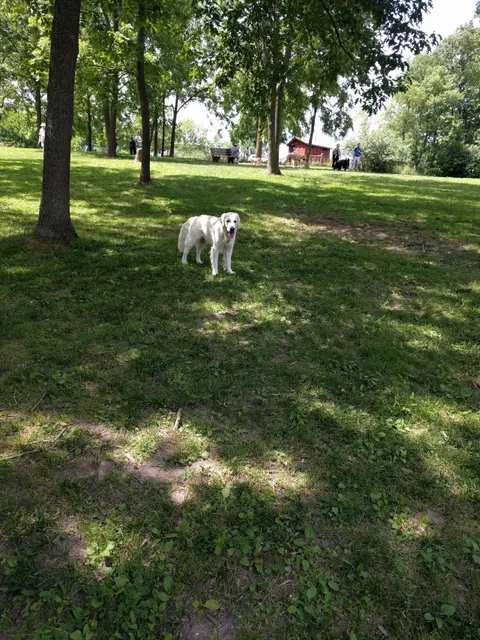 Minooka Dog Park
