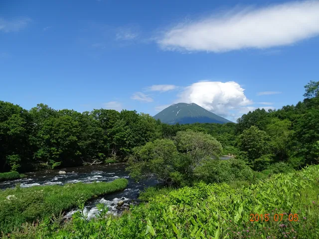 Hokkaido Lion Adventure