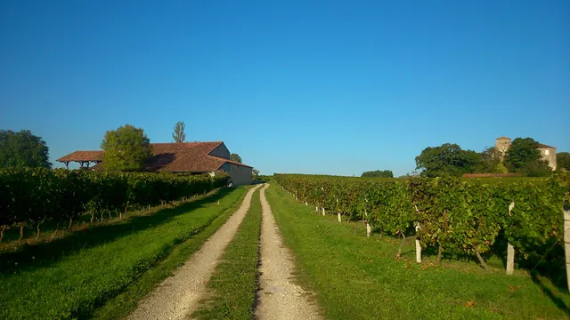 Domaine de Pouypardin