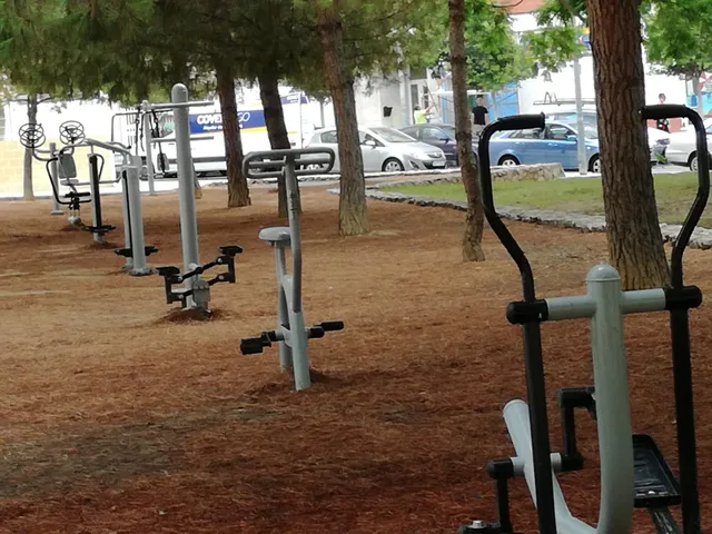 Vecinos del PAU2 de Alicante