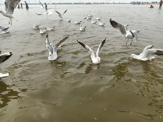 King Garden Guest House