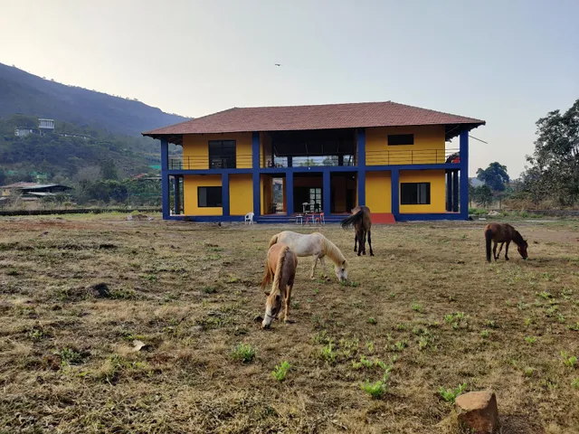 King's Landing, モカ市