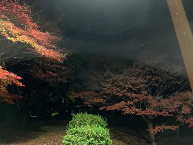 Ōtaniyama Nature Park