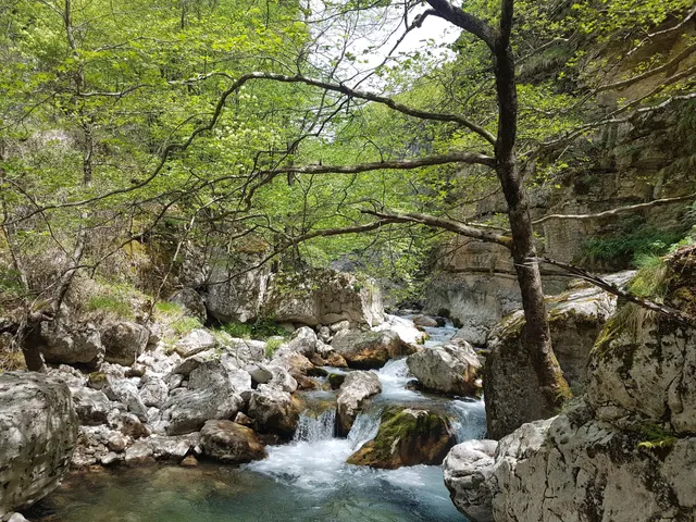 Kalarites - Syrrako Trail