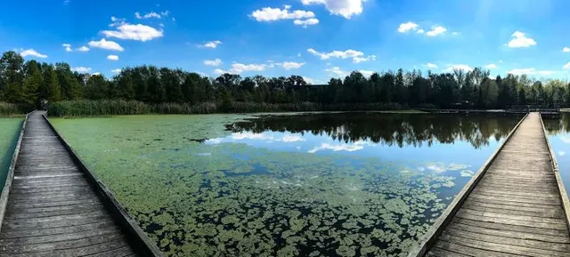 Howell Wetlands