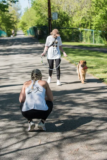 Golden Leash Pet Care LLC Chester County