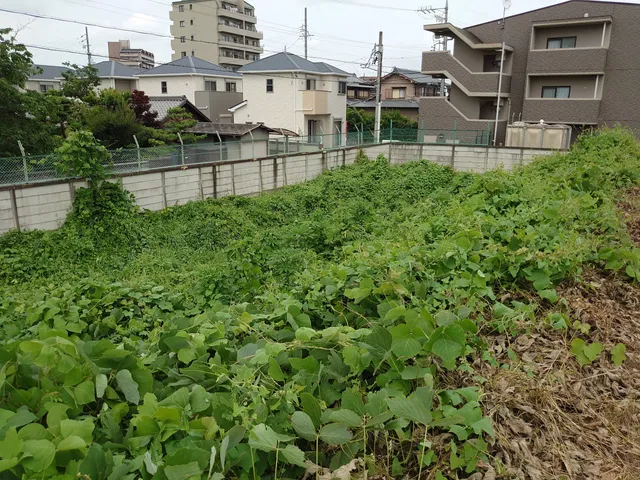 Owari Jōjō Castle Ruins