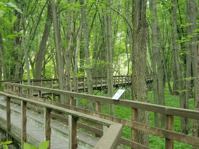 Pointe-Yamachiche Footbridge