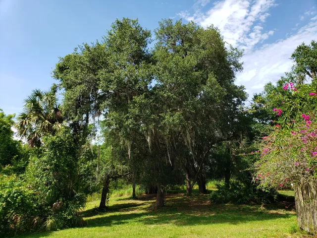 The Creation Adventures Museum