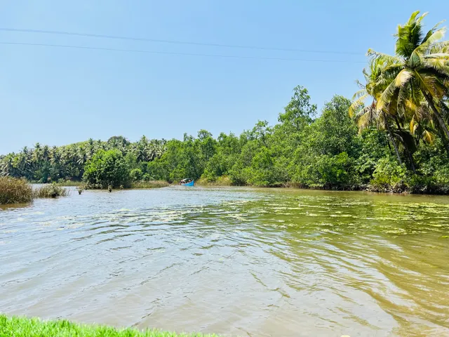 Honnavar backwater boating