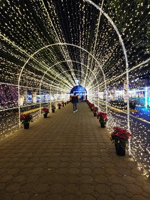 Recinto Feria Tlaxcala y Palenque