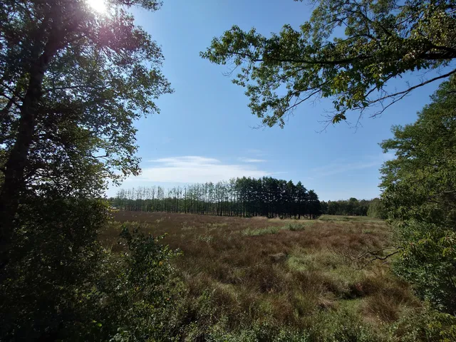 „Ochsenweide“ Nature Reserve