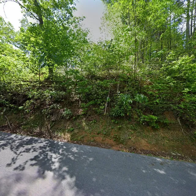 A Southern Point of View