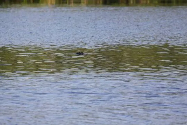 Turkey Creek Nature Preserve