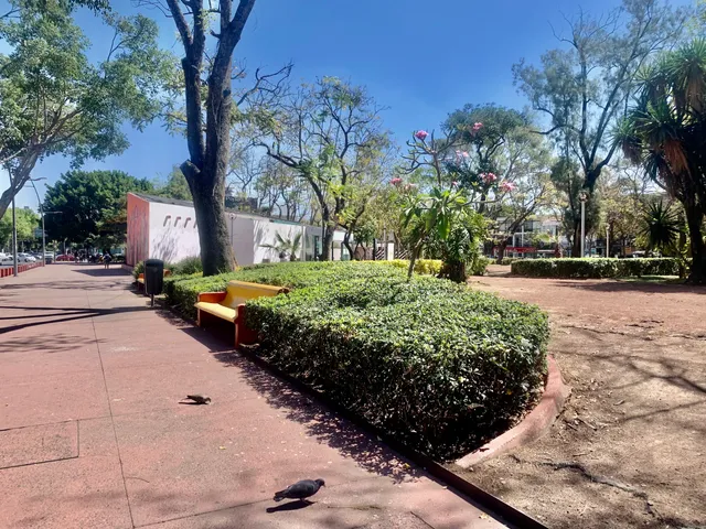 photo-1