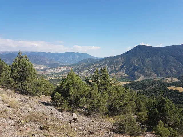 Seben Fosil Araştırma Ormanı