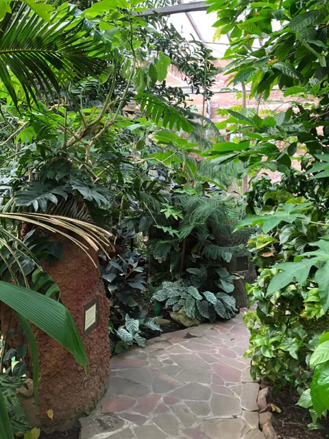 photo-1