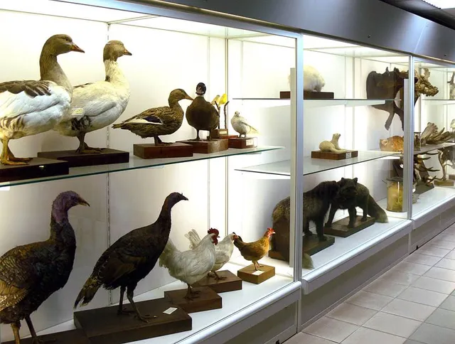 Kirovskiy Gorodskoy Zoologicheskiy Muzey