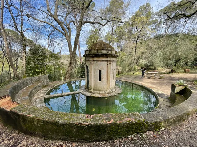 Charolinha da Mata Nacional dos Sete Montes