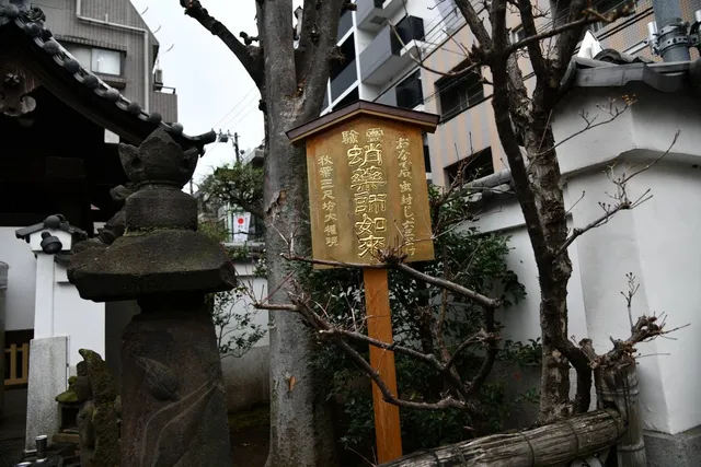 Tako-Yakushi Jōjuin