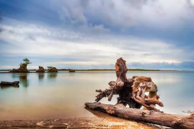 Siletz Bay National Wildlife Refuge