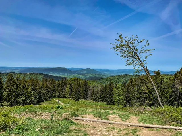 Polana Czoło Turbacza