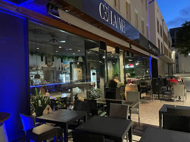 CE LA VIE Restaurant-Bar-Café