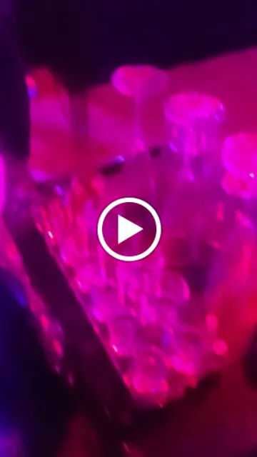 Dejavu Restaurant and Lounge