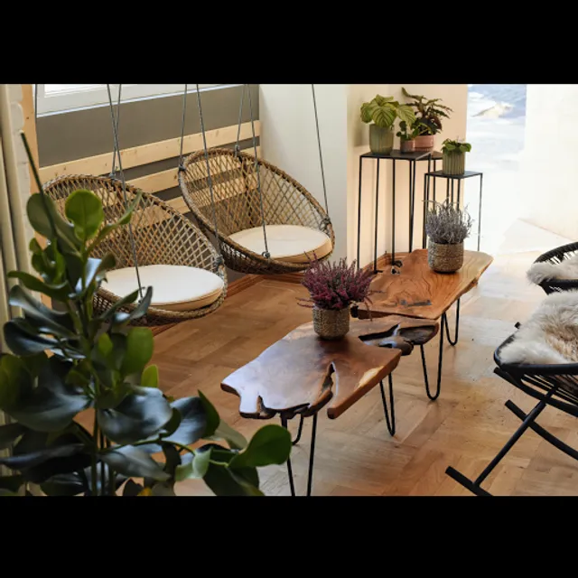 When Dreams Come True