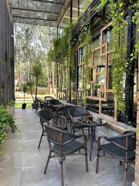 Kategna ቃተኛ Restaurant @ Entoto Park