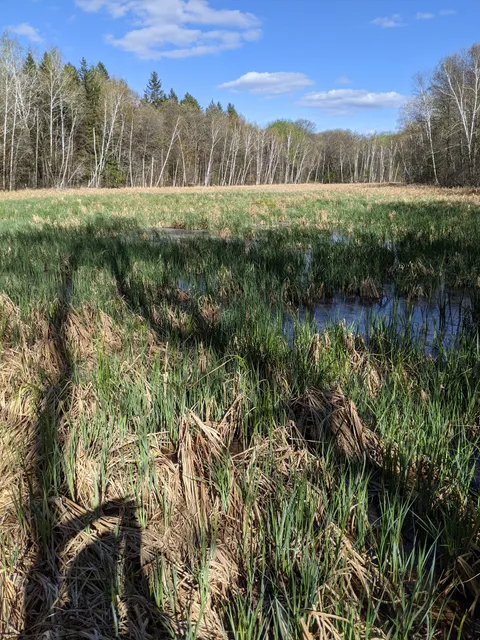 Uncas Dunes Scientific and Natural Area